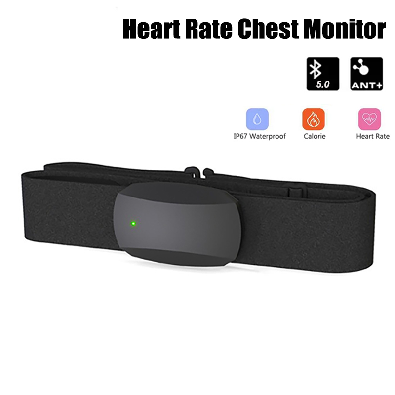 Heart Rate Chest Monitor Bluet - đánh giá và giá Heart Rate Monitor Chest Strap Ant+