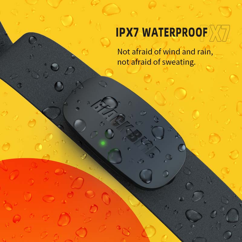 Thu Hải Đường HR1 Cảm Biến Nhị - đánh giá và giá Heart Rate Monitor Chest Strap Ant+