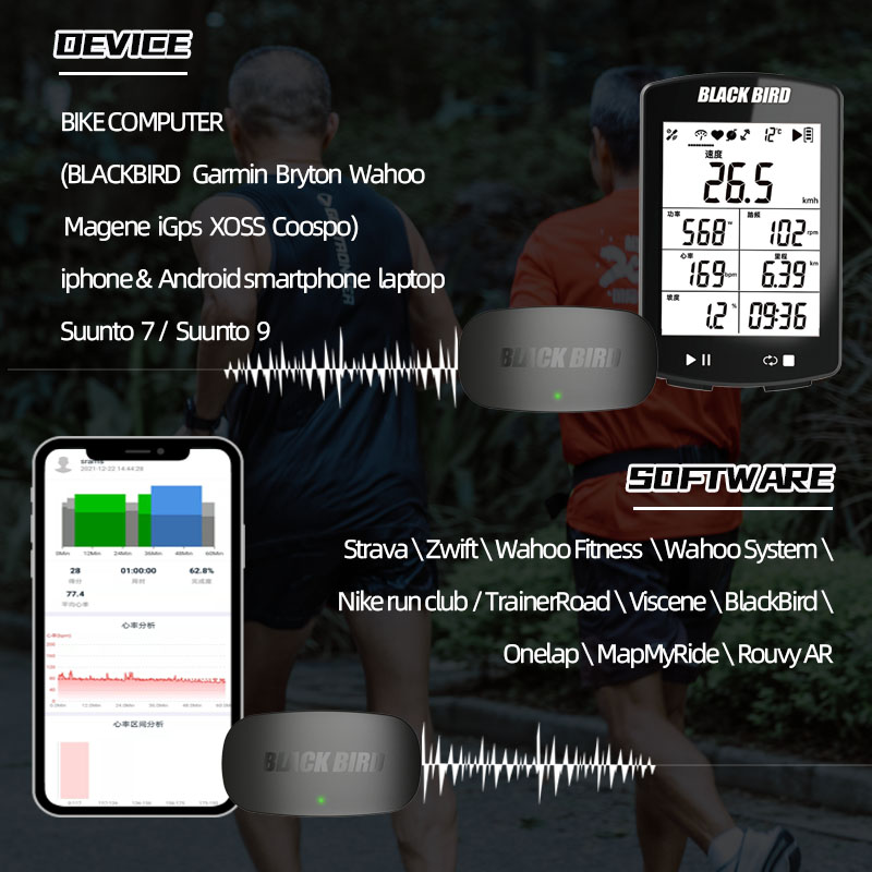 Thu Hải Đường HR1 Cảm Biến Nhị - đánh giá và giá Heart Rate Monitor Chest Strap Ant+